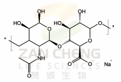 Oligomerie Sodium Hysluronate